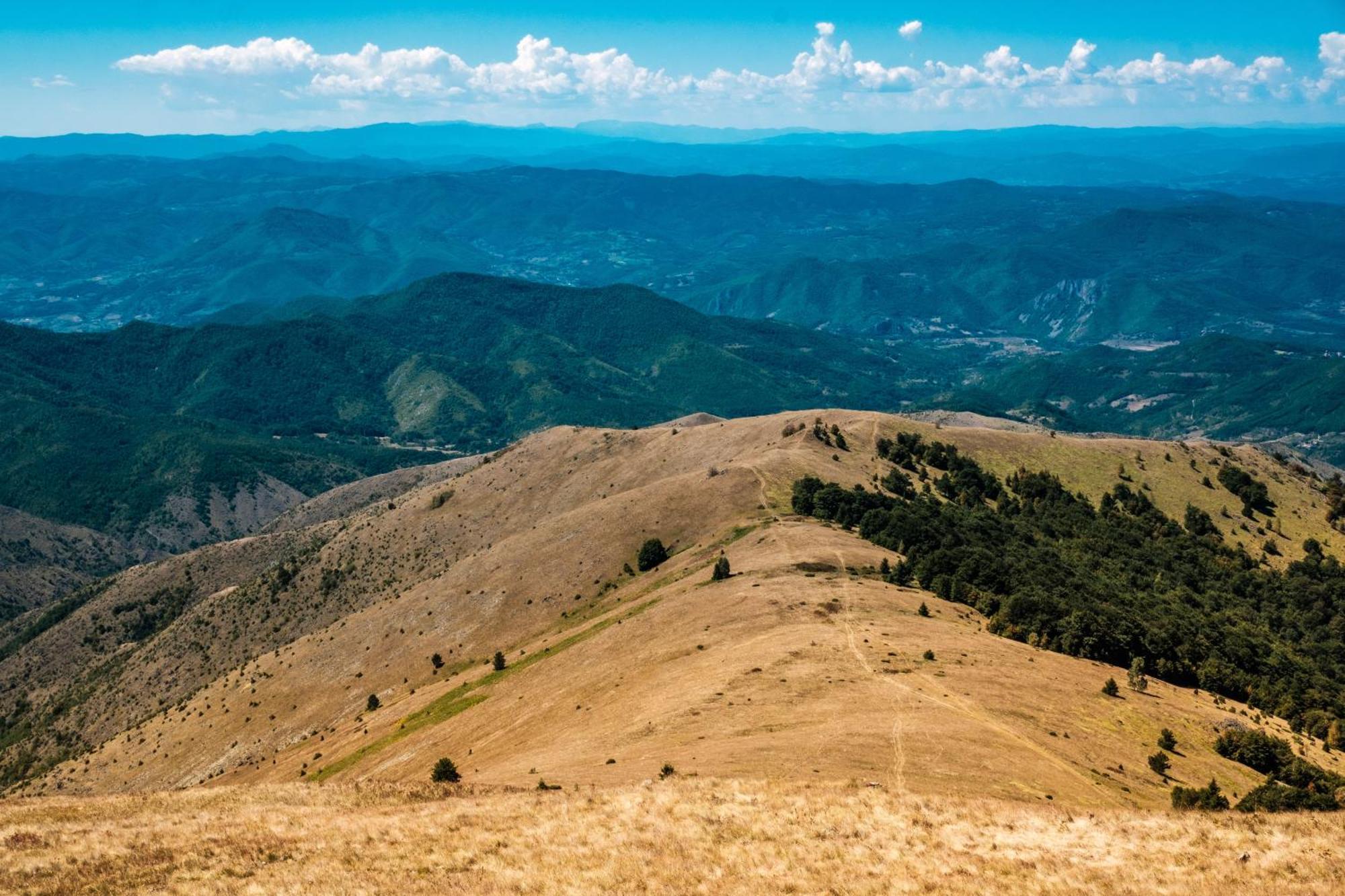 Apartmani Kraljevi Cardaci Kopaonik Buitenkant foto